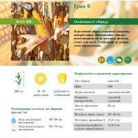 Насіння соняшника та кукурудзи селекції ВНІС