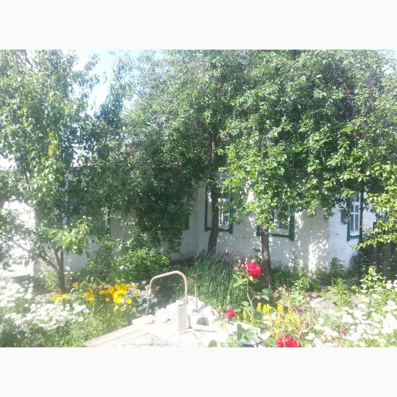 Фото 4. Продам дом в с.Лиман (Харьковская область, Змиевской район)