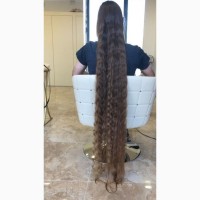Цех по производству париков покупает волосы в Запорожье до 100000 грн
