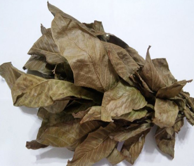Грецкий орех (листья) фасовка от 100 грамм - 1 кг