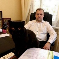 Помощь адвоката Киев
