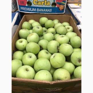 Оптовий продаж яблук з свого саду