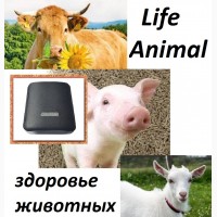 Лечение кошки, собаки, коровы устройством Life Animal. 4 уровня мощности|Акция: кешбэк 10%