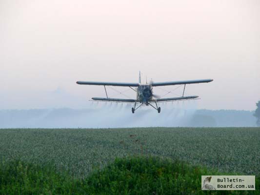 Фото 3. Авиахимобработка гороха и пшеницы вертолетом и сверхлегким самолетом