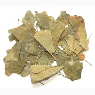 Гинкго билоба (листья) фасовка от 100 грамм - 1 кг
