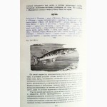 Сабанеев. Рыбы России. Жизнь и ловля (уженье) пресноводных рыб (комплект из 2-х книг)