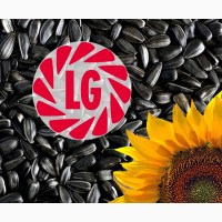 Семена подсолнечника производителя «Лимагрейн»