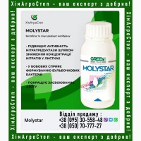 Molystar (Green Has Italia) від ТОВ ХімАгроСтеп | м. Дніпро
