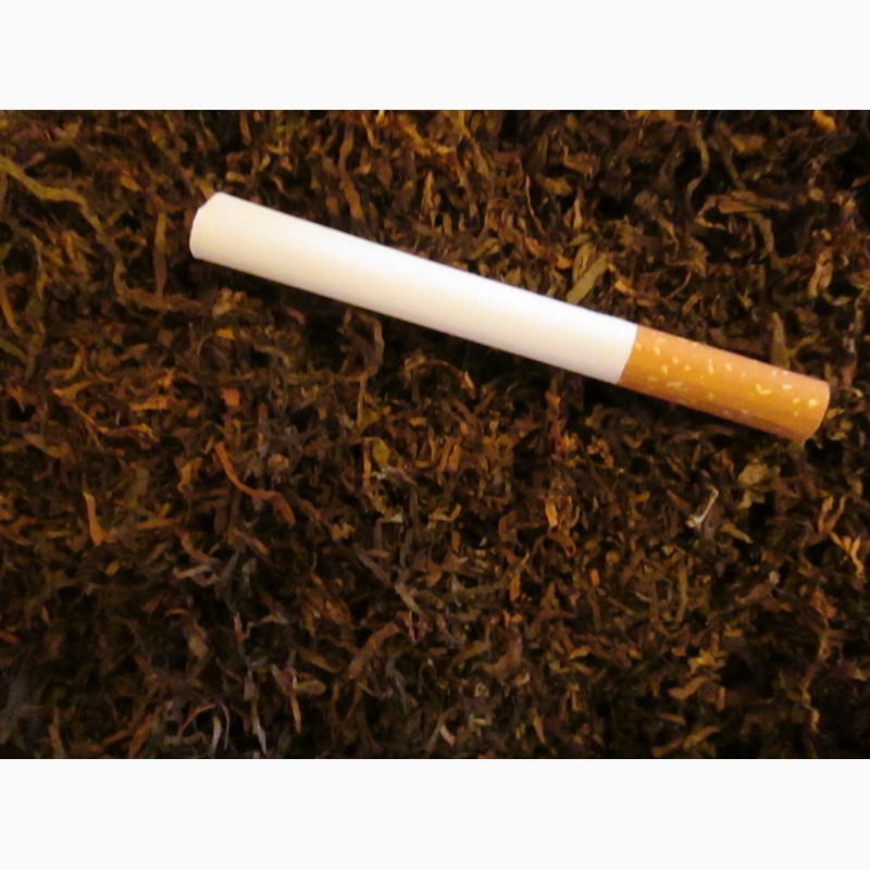Фото 2. Табак ферментированный лапша 1-2мм.СЕМЕНА-20грн больше 2000 семян