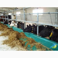 Стійлове обладнання на ферму для корів, кіз, баранів