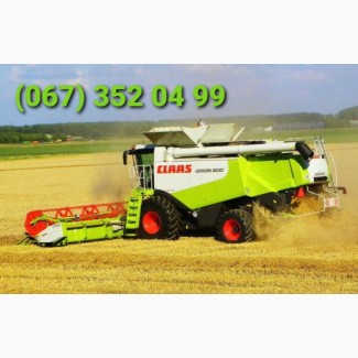 Здам в оренду зернозбиральні комбайни марки Claas Lexion 600, Тернопільська обл