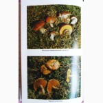 Всё о съедобных грибах. Авторы: Козак В.Т., Козьяков С.Н. Лот 3