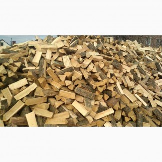 Продам дрова дубові (рубані, колоті) Горохів