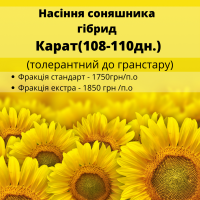 Карат - гібрид соняшнику під гранстар, Вирощені в україні