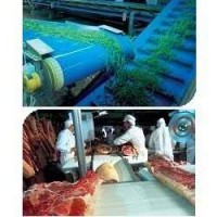 Конвейерные ленты ПВХ покрытием синего цвета для пищевой промышленности