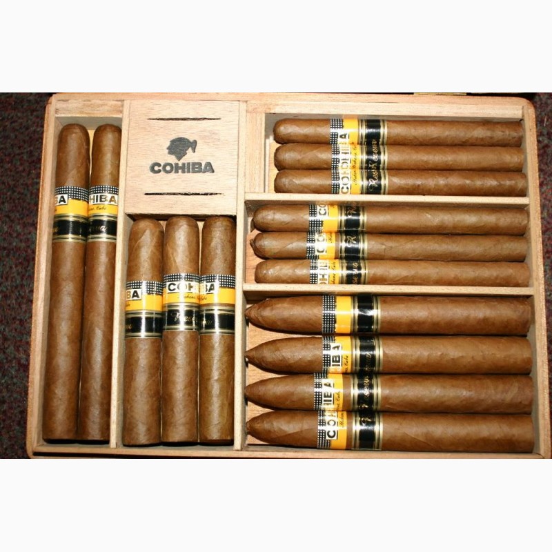 Kupit Cohiba Seleccion Reserva Kiev Sigary Bulletin Board