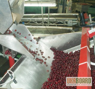 Фото 3. Машина для удаления косточек из вишни, сливы, абрикоса 1600 - 2600 кг/час