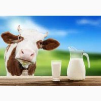 Оптовая продажа молока