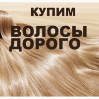 Купую волосся у Луцку до 125 000 грн Щодня ми купуємо волосся у кожному місті України