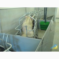 Cтійлове обладнання для тваринницьких ферм