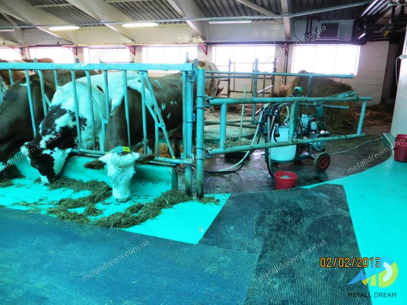 Фото 4. Cтійлове обладнання для тваринницьких ферм