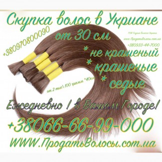 Продать волосы в Житомире Скупка волос Житомир