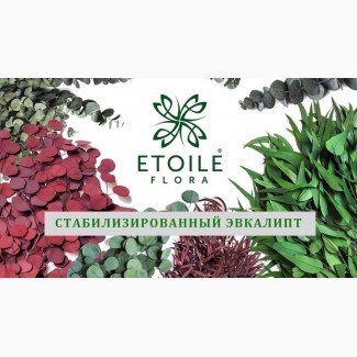 Магазин стабилизированных растений Этуаль Флора