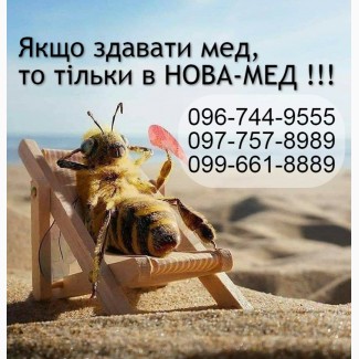 Закуповуємо мед із соняшника по Дніпропетровській та СУСІДНІХ ОБЛ. від 500 кг