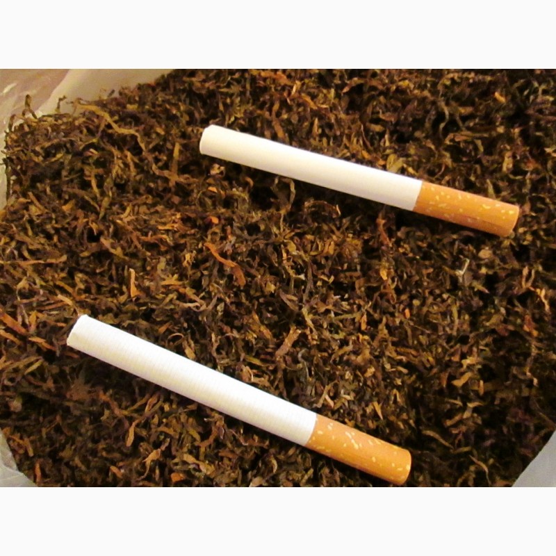 Табак Вирджиния Голд семена, есть нарезан лапша 1-2мм ферментированный