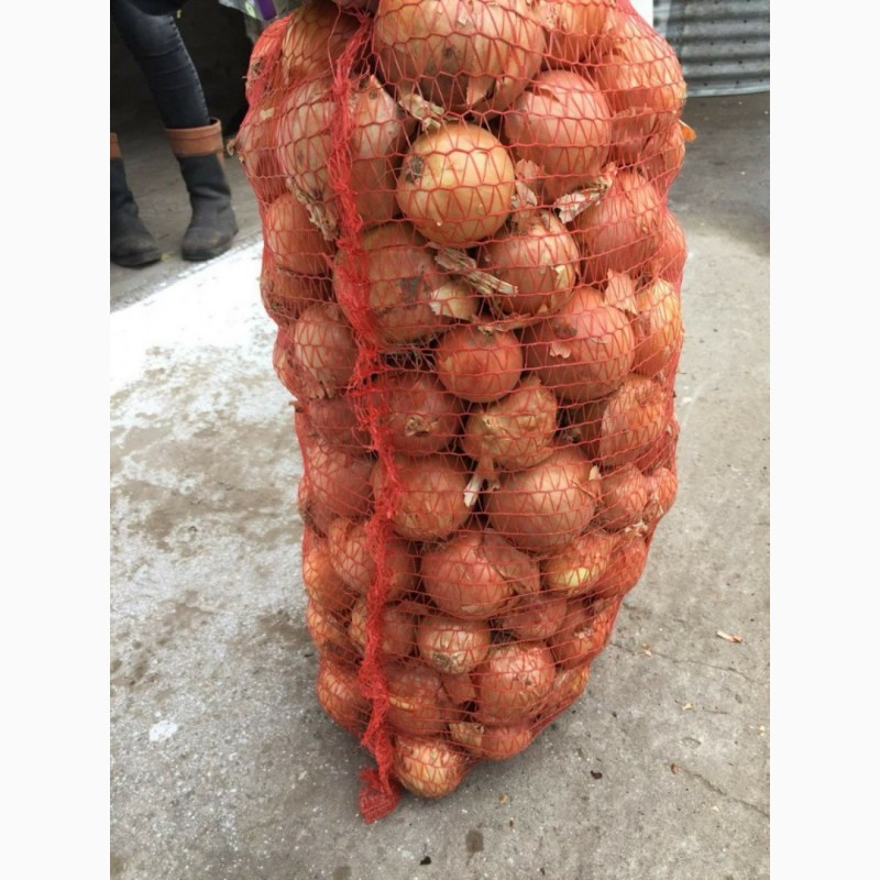 Фото 8. Продам морковь поставщика с 10 тонн