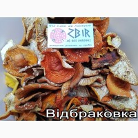 Мухомор ЧЕРВОНИЙ (Amanita Muscaria), сушені капелюшки. Сезон 2023