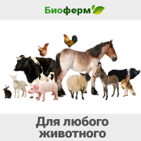 Несменяемая глубокая подстилка Биоферм для животных и птиц (свиней, кур, гусей, индюков