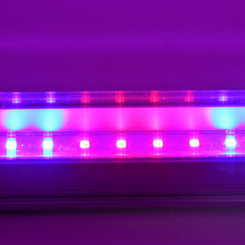 Фото 2. Светодиодный светильник T8-2835-0.6FS R:B=4:2 8W ( 4 красных 2 синих ФИТО свет )