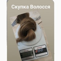Купуємо волосся у Львові Продати волосся у нас– це відмінний шанс отримати великі гроші