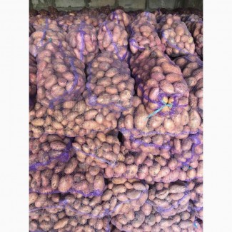 Продам молоду картоплю від фермера з 2 тонн