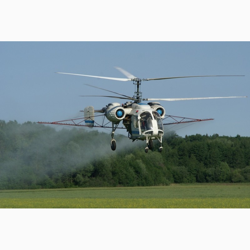Фото 2. Авиахимобработка гороха и пшеницы вертолетом и сверхлегким самолетом