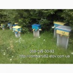 Пчёлы: Карпатка. Пчелопакеты 2023 г. Пчелиные плодные матки