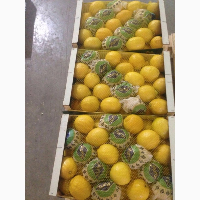 Фото 2. Лимоны Марокканские