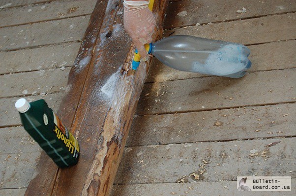 Фото 3. Пропитка (антисептик для древесины) Lignofix I-Рrofi уничтожит насекомых вредителей