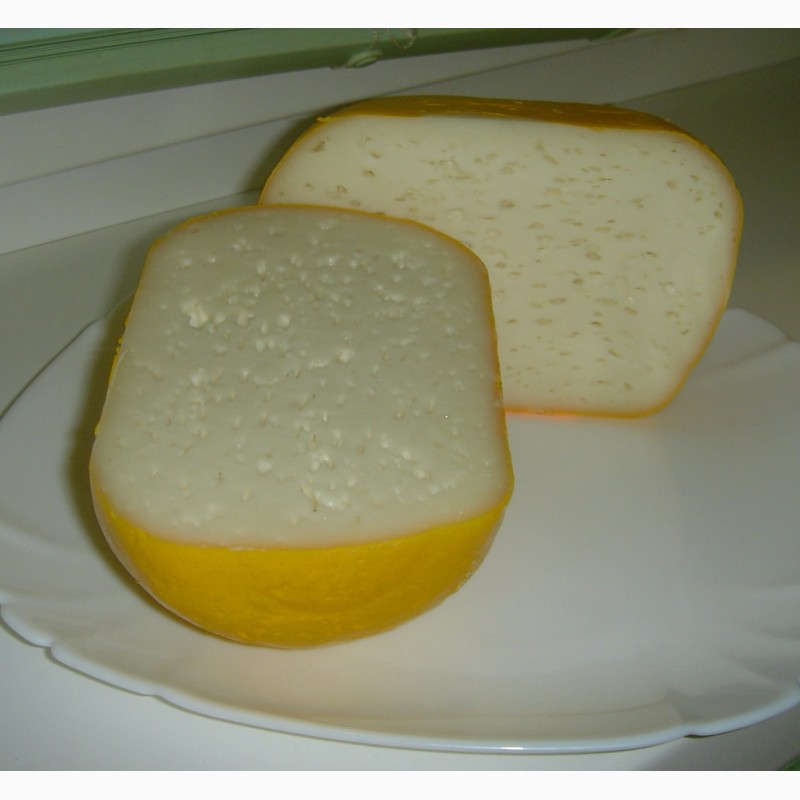 Фото 2. Сыр твердый и полутвердый из козьего молока