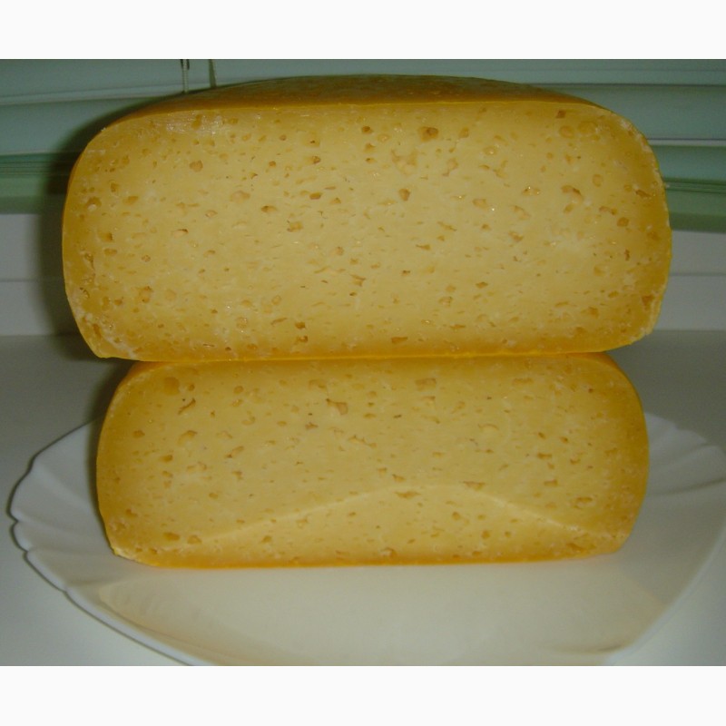 Фото 3. Сыр твердый и полутвердый из козьего молока