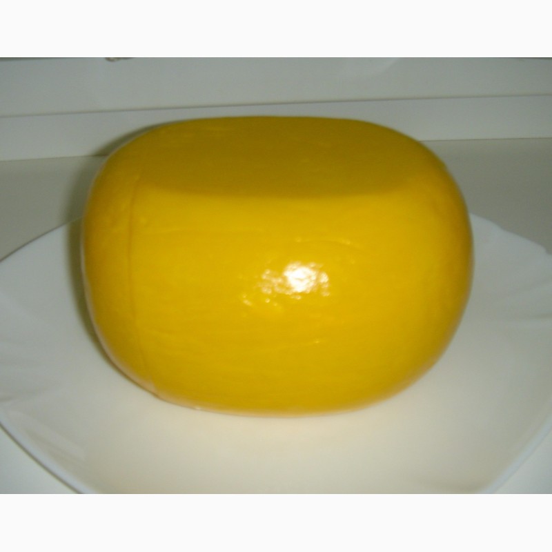 Фото 4. Сыр твердый и полутвердый из козьего молока