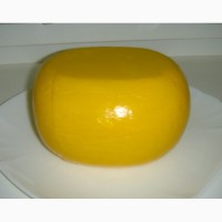 Сыр твердый и полутвердый из козьего молока
