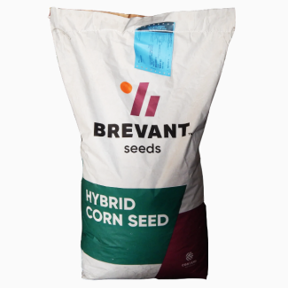 Семена кукурузы ДА СОНКА от компании BREVANT Seeds