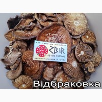 Мухомор ПАНТЕРНИЙ (Amanita Pantherina), сушені КАПЕЛЮШКИ, сезон 2023