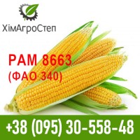 Насіння гібриду кукурудзи РАМ 8663 (ФАО 340)