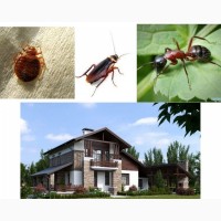 Обробка відкритих територій від комарів, кліщів, мурах та ін