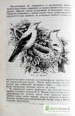 Фото 8. Певчие птицы. 1952г. Л. Б. Бёме
