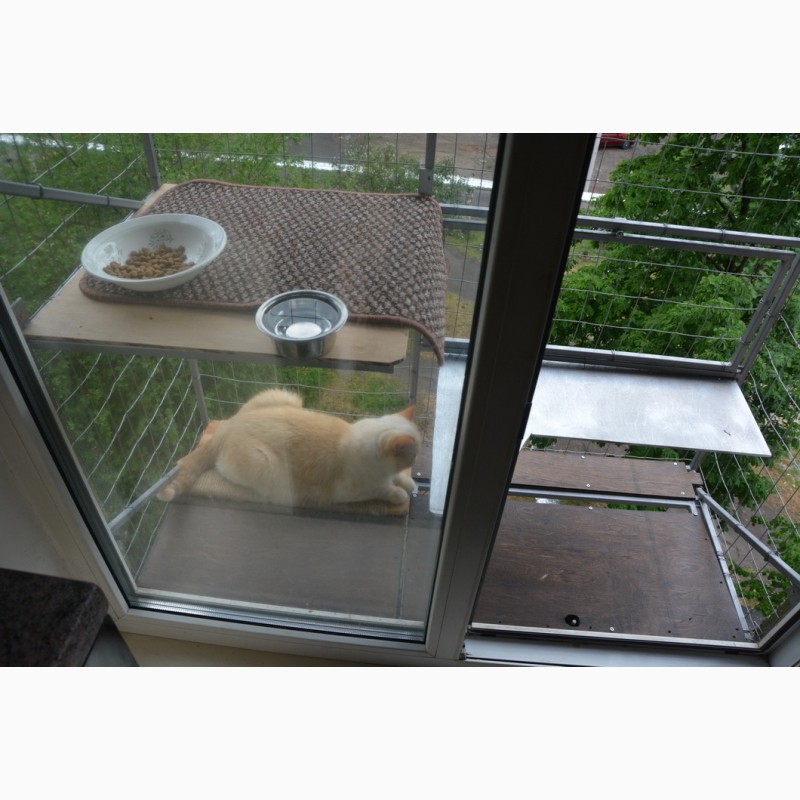 Фото 12. Клетка для кошек на окно. Броневик Днепр
