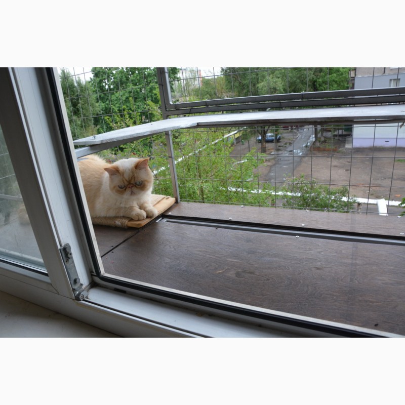 Фото 8. Клетка для кошек на окно. Броневик Днепр